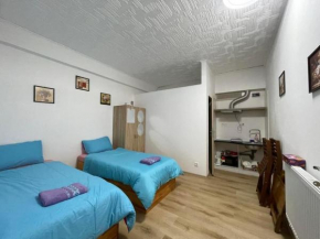 Cozy Studio in Zizkov Prague